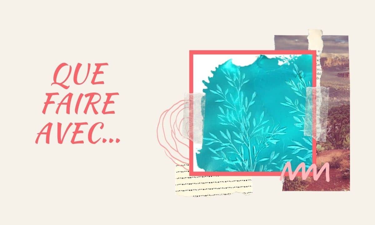 Que faire avec...